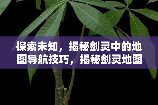 探索未知，揭秘剑灵中的地图导航技巧，揭秘剑灵地图导航技巧，助你探索未知世界