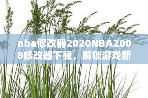 nba修改器2020NBA2008修改器下载，解锁游戏新体验，合法合规是关键，解锁NBA2008新体验，合法合规的修改器下载