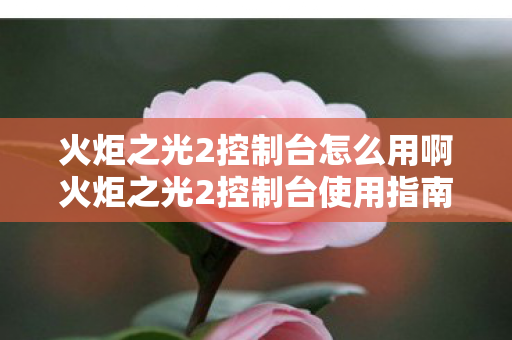 火炬之光2控制台怎么用啊火炬之光2控制台使用指南，火炬之光2控制台使用指南