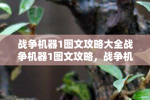 战争机器1图文攻略大全战争机器1图文攻略，战争机器1全攻略，图文详解助你轻松通关
