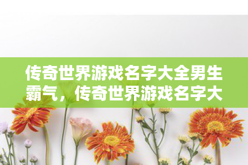 传奇世界游戏名字大全男生霸气图片