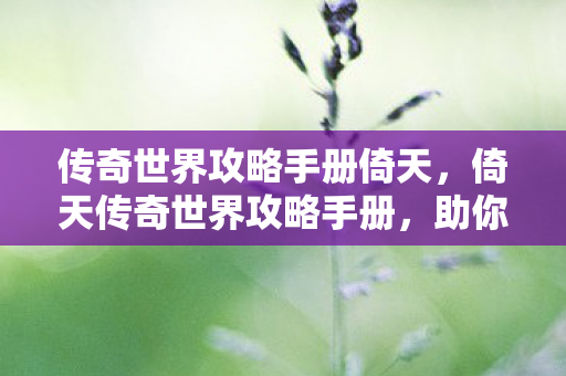 传奇世界攻略手册倚天图片