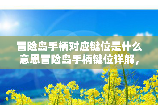 冒险岛手柄对应键位是什么意思冒险岛手柄键位详解，打造流畅游戏体验，冒险岛手柄键位详解，打造流畅游戏体验