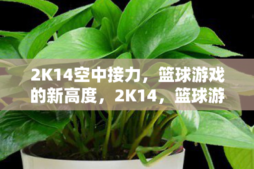2K14空中接力，篮球游戏的新高度，2K14，篮球游戏新高度，空中接力震撼来袭