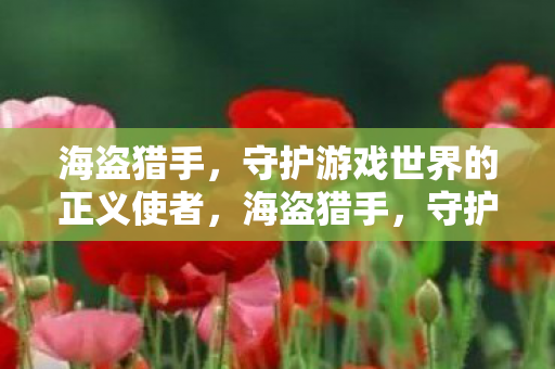 海盗猎手，守护游戏世界的正义使者，海盗猎手，守护游戏世界的正义