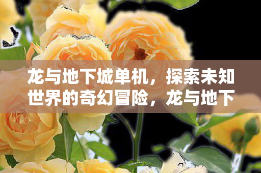 龙与地下城单机，探索未知世界的奇幻冒险，龙与地下城单机，探索未知世界的奇幻冒险之旅