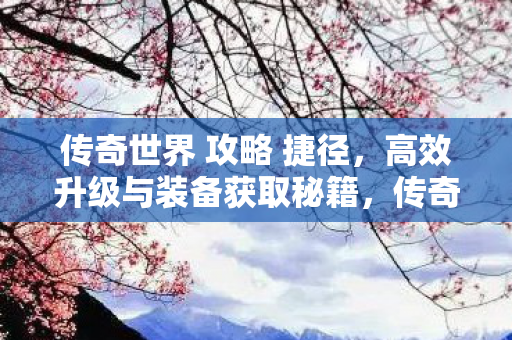 高效升级与装备获取秘籍图片
