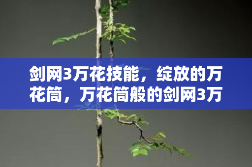 剑网3万花技能，绽放的万花筒，万花筒般的剑网3万花技能