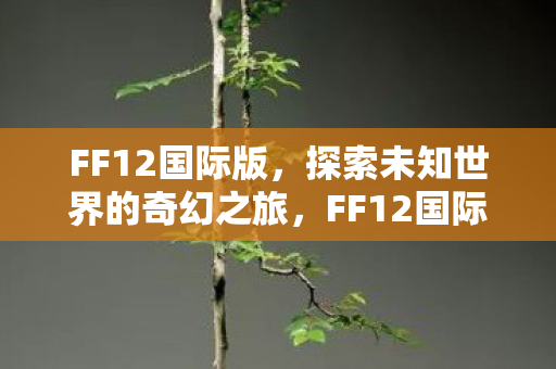 FF12国际版，探索未知世界的奇幻之旅，FF12国际版，探索未知世界的奇幻之旅