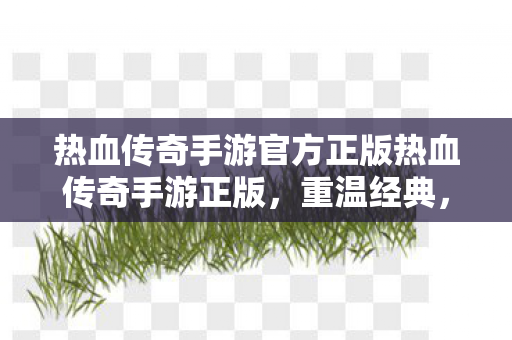 热血传奇手游官方正版热血传奇手游正版图片