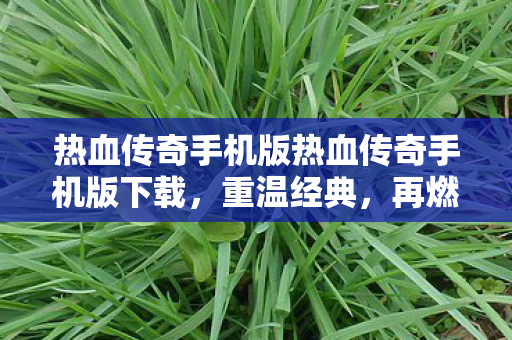 热血传奇手机版热血传奇手机版下载图片