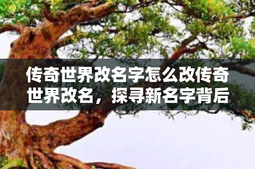 传奇世界改名字怎么改传奇世界改名，探寻新名字背后的故事与意义，传奇世界改名背后的故事与意义