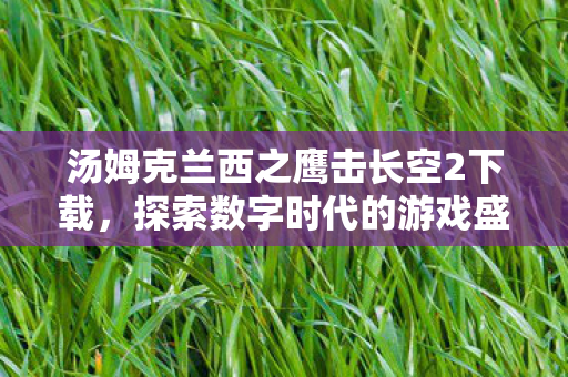 汤姆克兰西之鹰击长空2下载，探索数字时代的游戏盛宴，汤姆克兰西之鹰击长空2，数字时代游戏盛宴下载体验