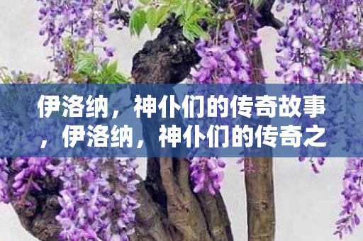 伊洛纳,神仆们的传奇故事,伊洛纳,神仆们的传奇之旅 伊洛纳,神仆们的传奇故事,伊洛纳,神仆们的传奇之旅