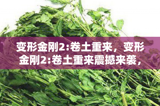 机械巨兽再度肆虐地球图片