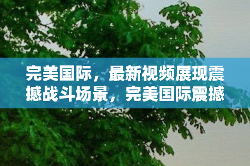 完美国际，最新视频展现震撼战斗场景，完美国际震撼战斗场景曝光