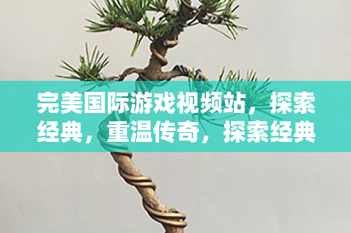 完美国际游戏视频站,探索经典,重温传奇,探索经典重温传奇,完美国际游戏视频站 完美国际游戏视频站,探索经典,重温传奇,探索经典重温传奇,完美国际游戏视频站