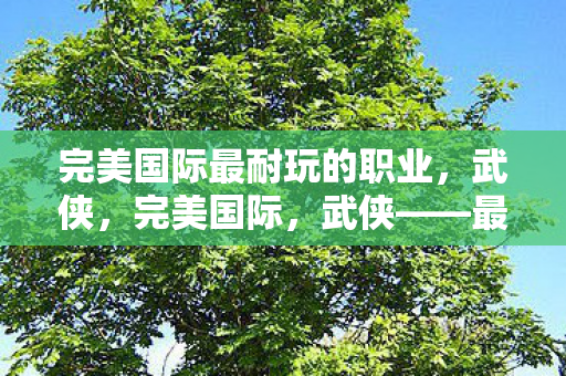 完美国际最耐玩的职业,武侠,完美国际,武侠——最耐玩的职业 完美国际最耐玩的职业,武侠,完美国际,武侠——最耐玩的职业