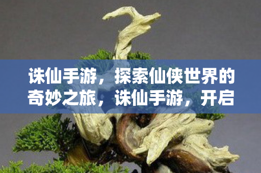 诛仙手游，探索仙侠世界的奇妙之旅，诛仙手游，开启仙侠世界的奇幻冒险之旅
