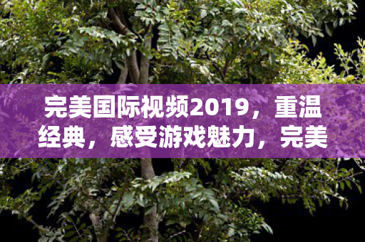 完美国际视频2019,重温经典,感受游戏魅力,完美国际2019经典重温,感受游戏独特魅力 完美国际视频2019,重温经典,感受游戏魅力,完美国际2019经典重温,感受游戏独特魅力