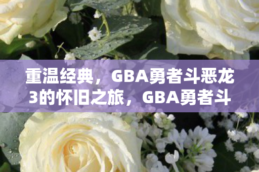 重温经典，GBA勇者斗恶龙3的怀旧之旅，GBA勇者斗恶龙3，怀旧之旅重温经典