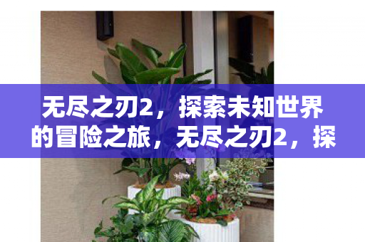 无尽之刃2，探索未知世界的冒险之旅，无尽之刃2，探索未知世界的冒险之旅