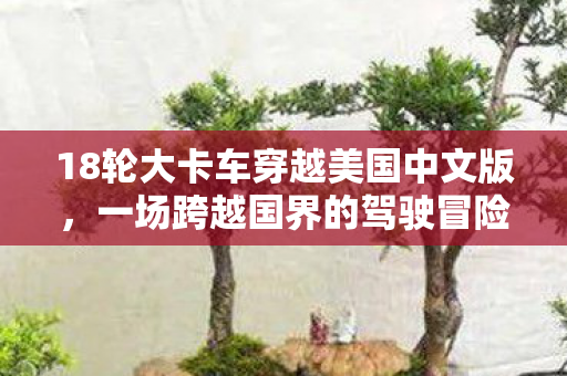 18轮大卡车穿越美国中文版，一场跨越国界的驾驶冒险，18轮大卡车穿越美国，一场跨越国界的驾驶冒险