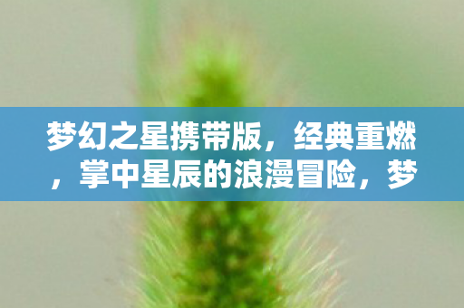 梦幻之星携带版，经典重燃，掌中星辰的浪漫冒险，梦幻之星携带版，掌中星辰的浪漫冒险，经典重燃！