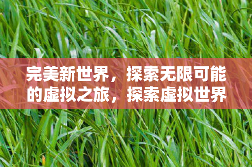 完美新世界，探索无限可能的虚拟之旅，探索虚拟世界，完美新世界之旅