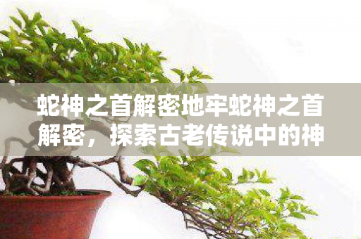 蛇神之首解密地牢蛇神之首解密，探索古老传说中的神秘生物，蛇神之首，探索地牢中的神秘生物