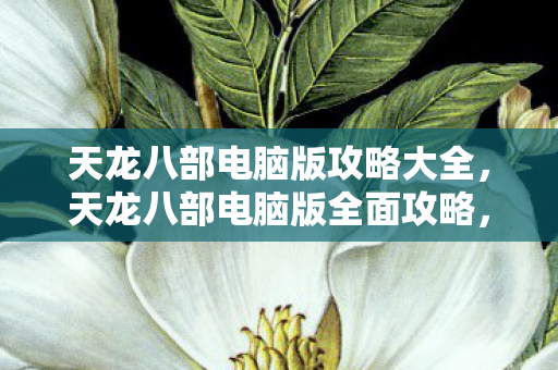 天龙八部电脑版攻略大全，天龙八部电脑版全面攻略，打造你的江湖之旅