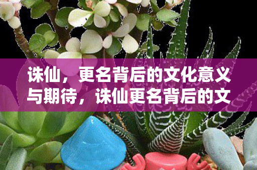 诛仙,更名背后的文化意义与期待,诛仙更名背后的文化意义与读者期待 诛仙,更名背后的文化意义与期待,诛仙更名背后的文化意义与读者期待