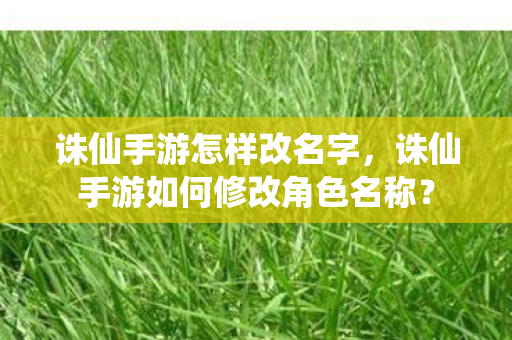 诛仙手游怎样改名字，诛仙手游如何修改角色名称？