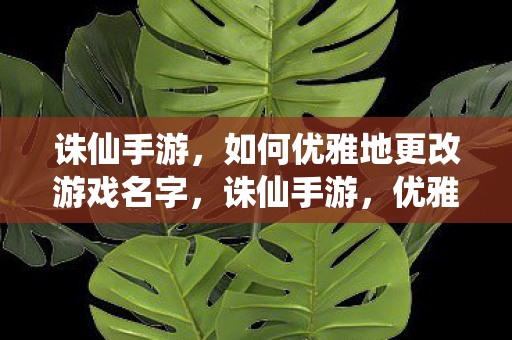 诛仙手游，如何优雅地更改游戏名字，诛仙手游，优雅改名攻略