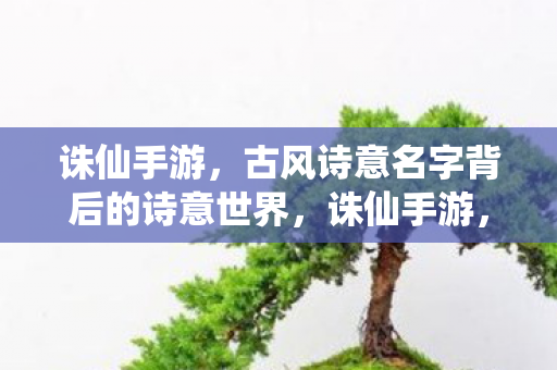 诛仙手游，古风诗意名字背后的诗意世界，诛仙手游，古风诗意名字，带你领略诗意世界
