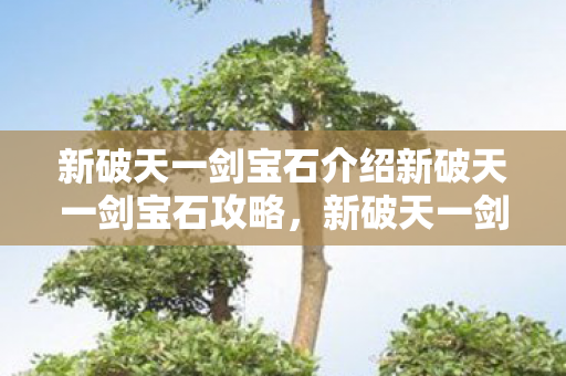 新破天一剑宝石介绍新破天一剑宝石攻略图片