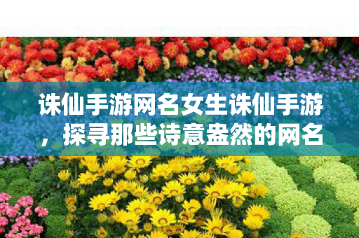 诛仙手游网名女生诛仙手游,探寻那些诗意盎然的网名背后的故事,诛仙手游,诗意网名背后的故事 诛仙手游网名女生诛仙手游,探寻那些诗意盎然的网名背后的故事,诛仙手游,诗意网名背后的故事