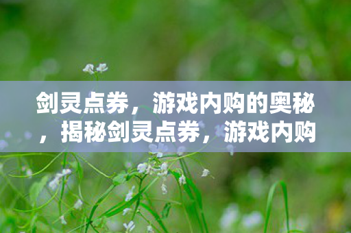 剑灵点券，游戏内购的奥秘，揭秘剑灵点券，游戏内购背后的奥秘