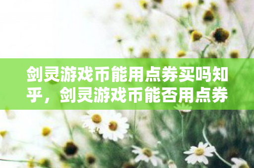 剑灵游戏币能用点券买吗知乎图片