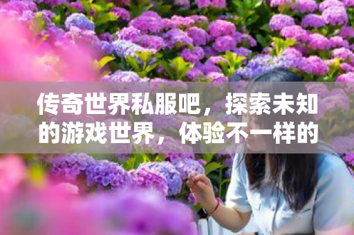传奇世界私服吧，探索未知的游戏世界，体验不一样的冒险，探索传奇世界私服，开启未知冒险之旅