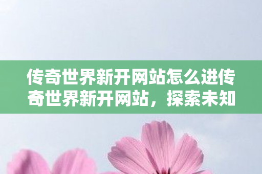 传奇世界新开网站怎么进传奇世界新开网站，探索未知世界的奇妙之旅，探索传奇世界新开网站，开启未知世界的奇妙之旅