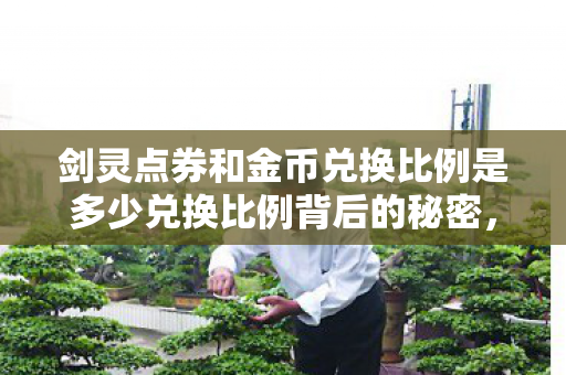 剑灵点券和金币兑换比例是多少兑换比例背后的秘密，揭秘剑灵点券与金币的兑换奥秘，揭秘，剑灵点券与金币兑换比例背后的秘密