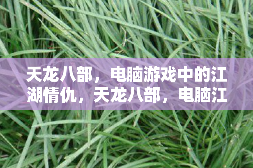 天龙八部，电脑游戏中的江湖情仇，天龙八部，电脑江湖中的情仇爱恨