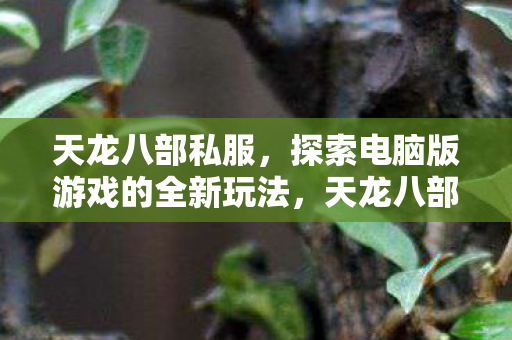 探索电脑版游戏的全新玩法图片