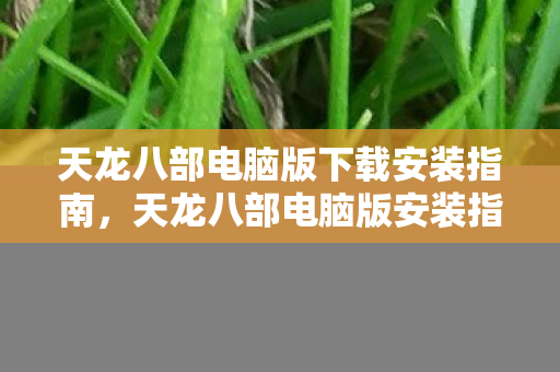 天龙八部电脑版下载安装指南图片