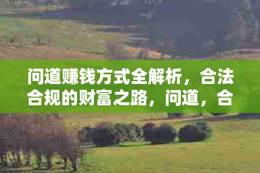 合法合规的财富之路全解析图片
