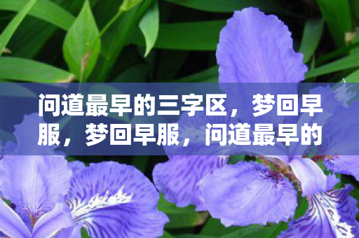 问道最早的三字区,梦回早服,梦回早服,问道最早的三字区 问道最早的三字区,梦回早服,梦回早服,问道最早的三字区