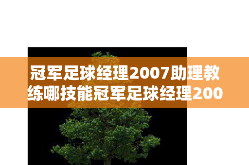 冠军足球经理2007助理教练哪技能冠军足球经理2007，经典再现，策略与激情的碰撞，冠军足球经理2007再现经典，策略与激情的碰撞