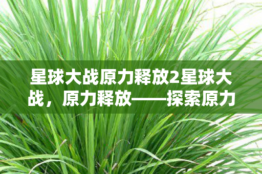 星球大战原力释放2星球大战，原力释放——探索原力的无限可能，星球大战原力释放，探索原力的无限可能