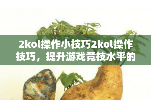 2kol操作小技巧2kol操作技巧，提升游戏竞技水平的关键步骤，2kol操作技巧，提升游戏竞技水平的关键步骤